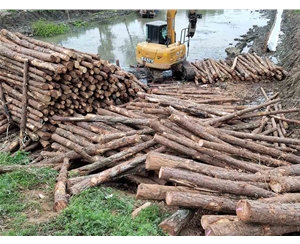 蕪湖市灣沚區(qū)水系連通及農村水系綜合整治工程陶辛項目區(qū)工程